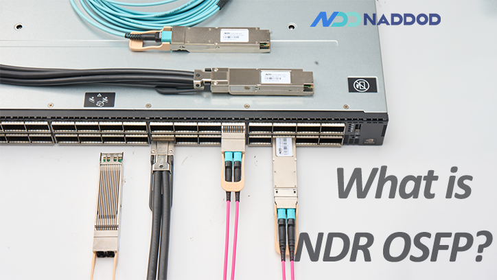 ファッションアイテム人気ランキング Ultra-High InfiniBand: Quantum-2 NVIDIA Bandwidth Low and 人文